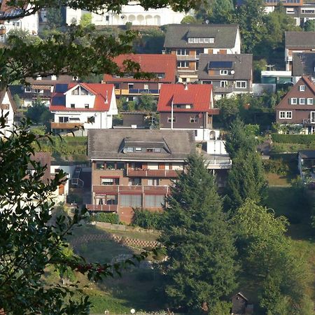 Apartament Haus Krick Alpirsbach Zewnętrze zdjęcie